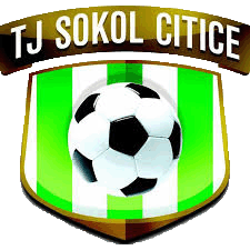 TJ Sokol Citice