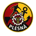TJ Jiskra Plesná