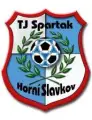 TJ Spartak Horní Slavkov