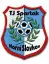 TJ Spartak Horní Slavkov