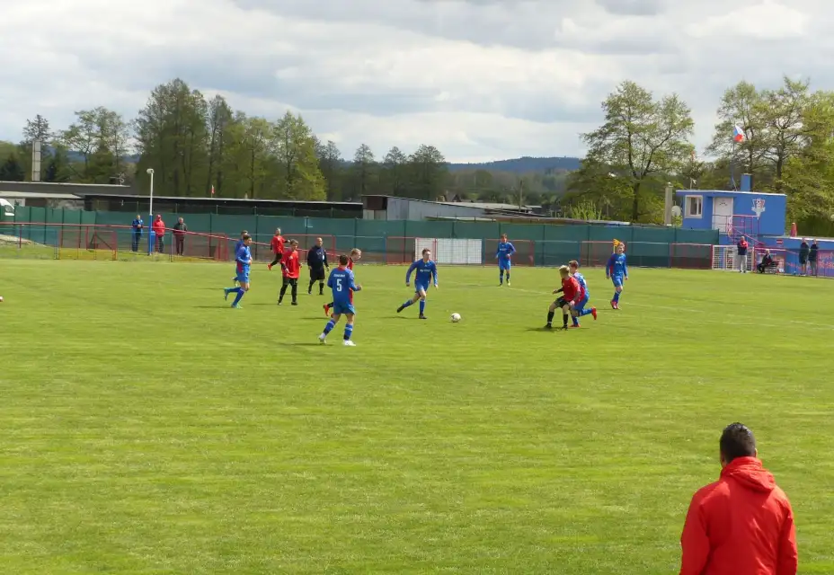 FKNR dorost - TJ DDM Stará Role 3 - 0